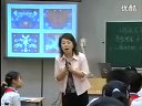 Сޱʻ_Ϻʦ˵Ƶʵ¼